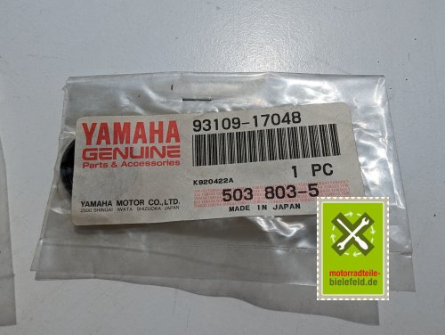 PXL_20240523_103237500